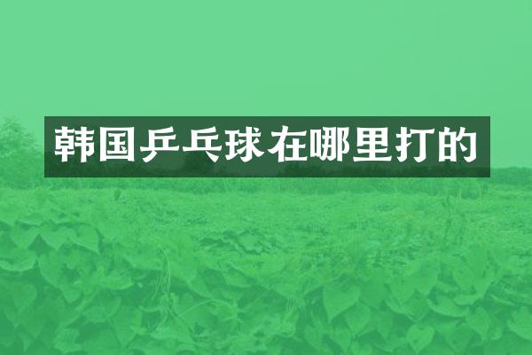 韩国乒乓球在哪里打的