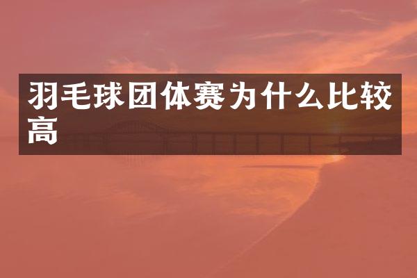 羽毛球团体赛为什么比较高