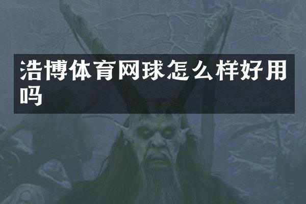 浩博体育网球怎么样好用吗