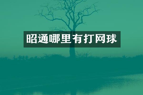 昭通哪里有打网球