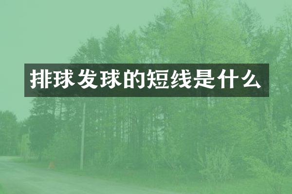 排球发球的短线是什么