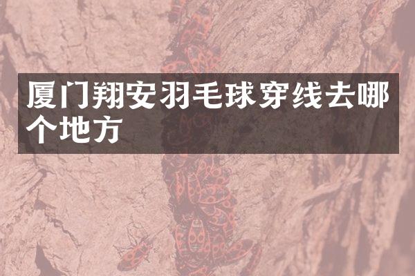 厦门翔安羽毛球穿线去哪个地方