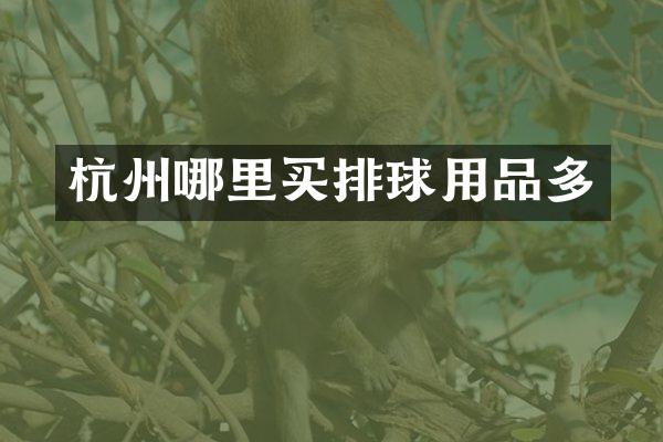 杭州哪里买排球用品多
