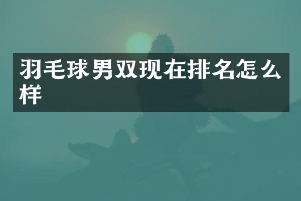羽毛球男双现在排名怎么样