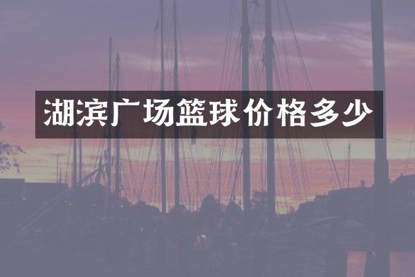 湖滨广场篮球价格多少