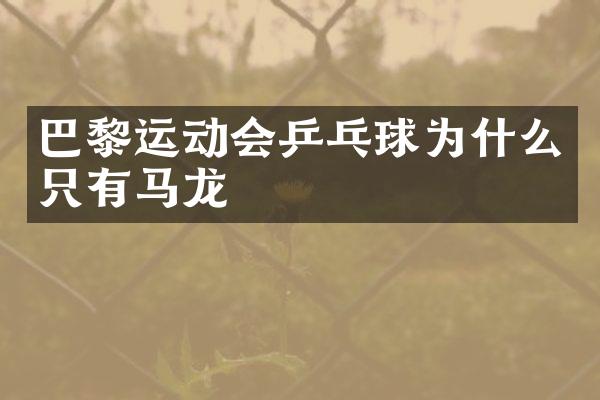 巴黎运动会乒乓球为什么只有马龙