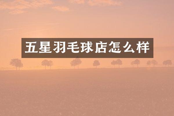 五星羽毛球店怎么样