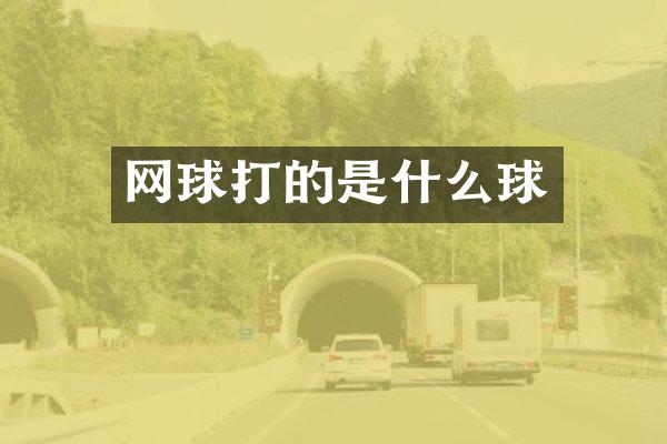 网球打的是什么球