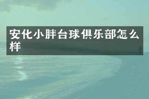 安化小胖台球俱乐部怎么样