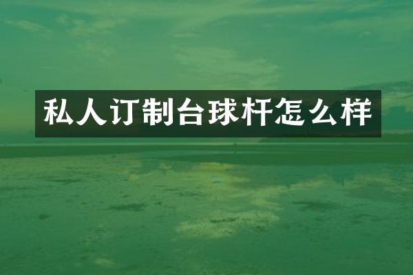 私人订制台球杆怎么样