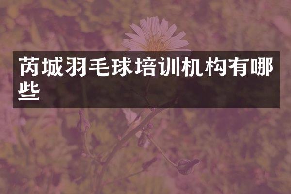 芮城羽毛球培训机构有哪些