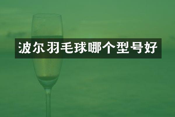 波尔羽毛球哪个型号好