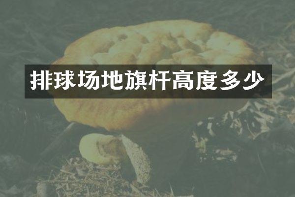 排球场地旗杆高度多少