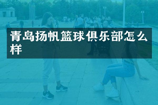 青岛扬帆篮球俱乐部怎么样