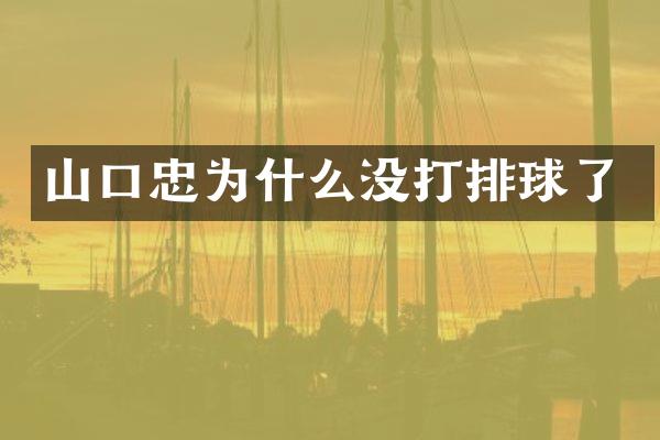 山口忠为什么没打排球了