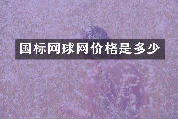 国标网球网价格是多少