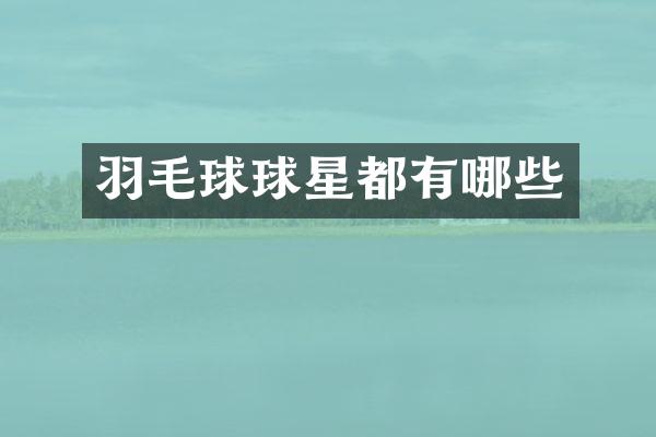 羽毛球球星都有哪些