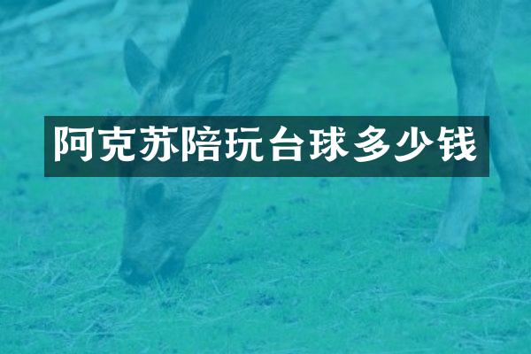 阿克苏陪玩台球多少钱