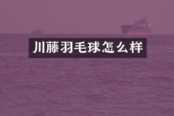 川藤羽毛球怎么样