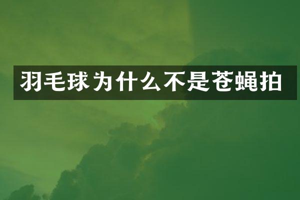 羽毛球为什么不是苍蝇拍