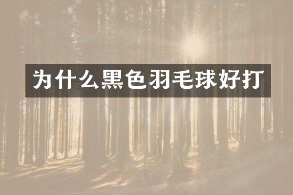 为什么黑色羽毛球好打