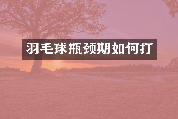 羽毛球瓶颈期如何打
