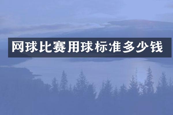 网球比赛用球标准多少钱