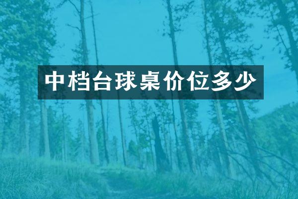 中档台球桌价位多少