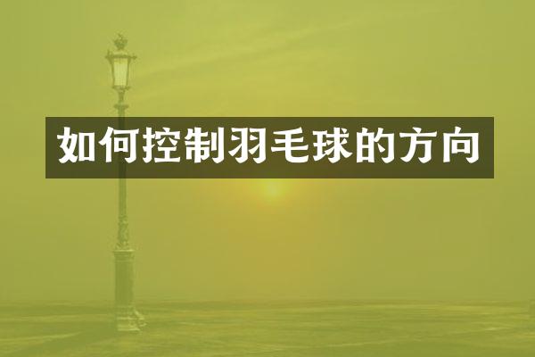 如何控制羽毛球的方向