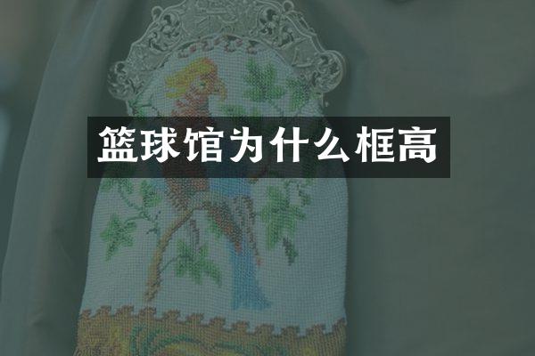 篮球馆为什么框高