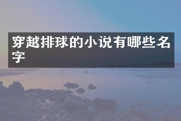 穿越排球的小说有哪些名字