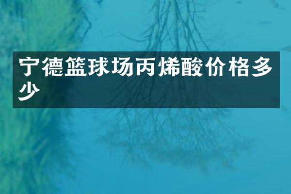 宁德篮球场丙烯酸价格多少