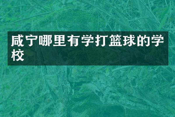 咸宁哪里有学打篮球的学校