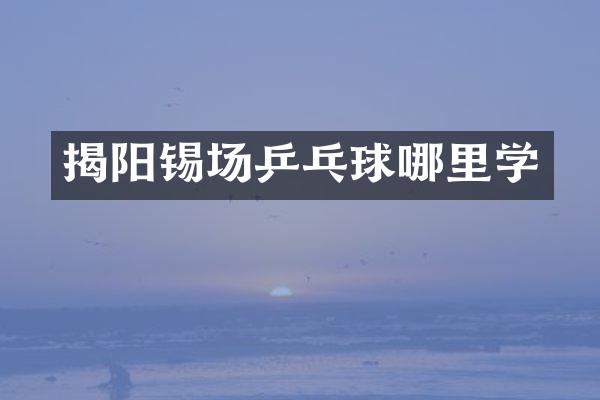 揭阳锡场乒乓球哪里学