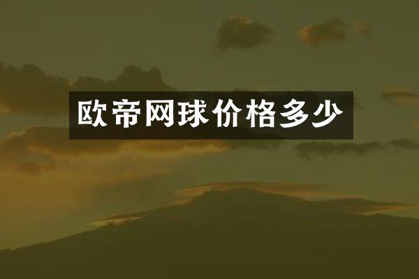 欧帝网球价格多少