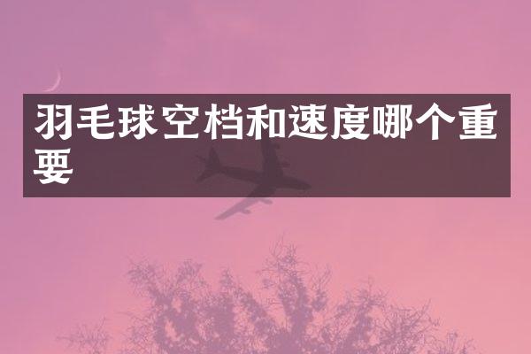 羽毛球空档和速度哪个重要