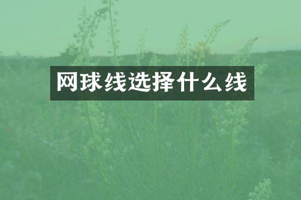 网球线选择什么线