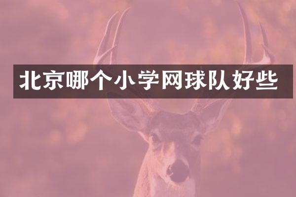 北京哪个小学网球队好些
