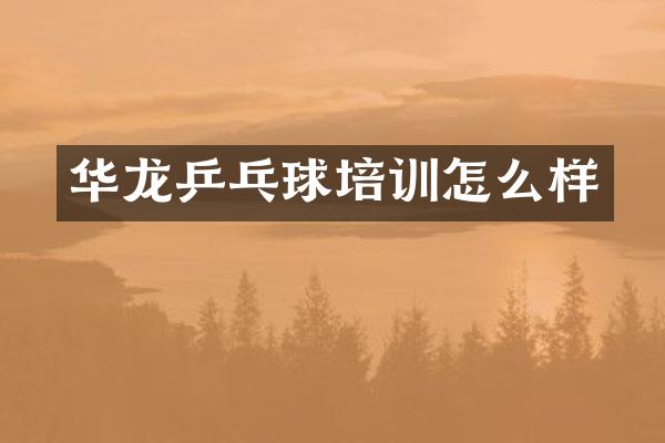 华龙乒乓球培训怎么样