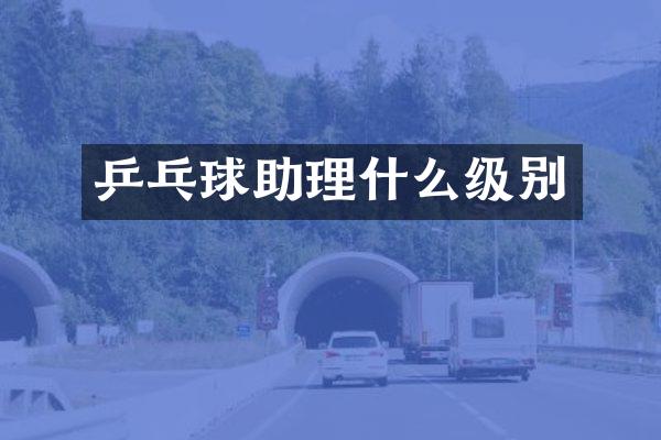 乒乓球助理什么级别