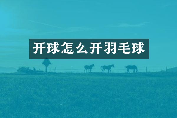 开球怎么开羽毛球