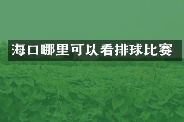 海口哪里可以看排球比赛
