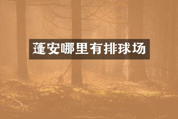蓬安哪里有排球场