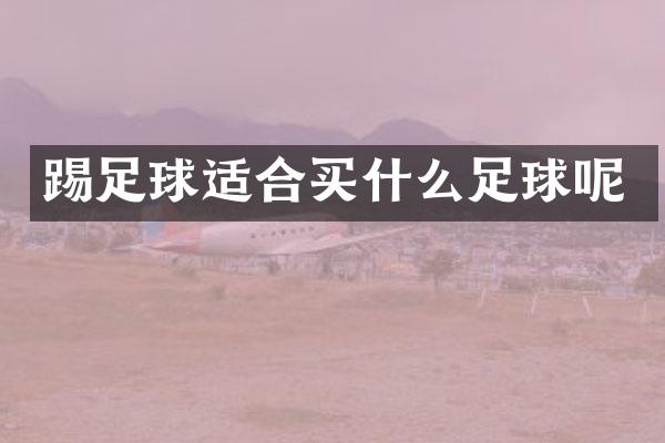 踢足球适合足球呢