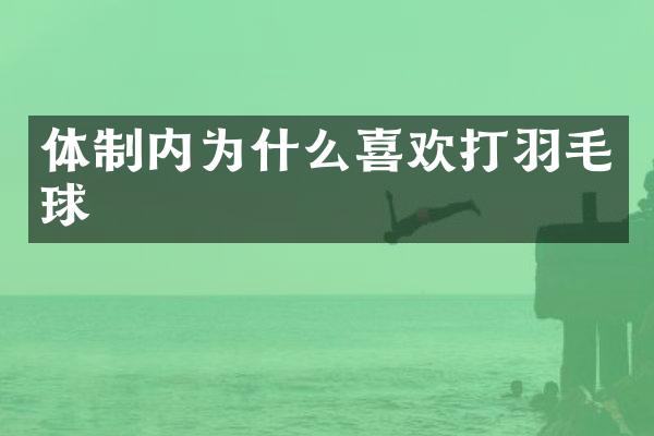 体制内为什么喜欢打羽毛球