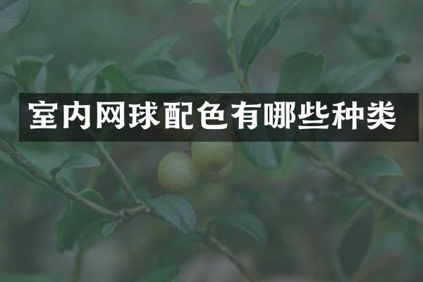 室内网球配色有哪些种类