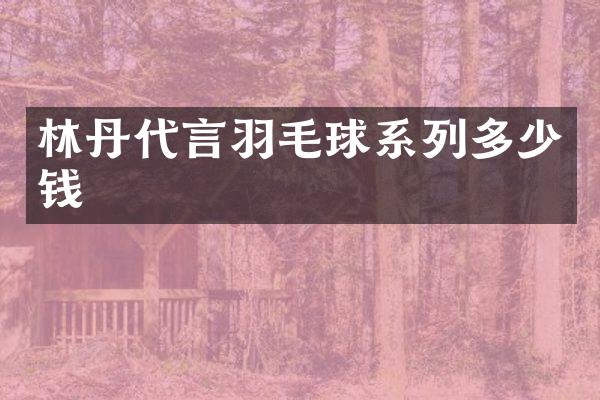 林丹代言羽毛球系列多少钱