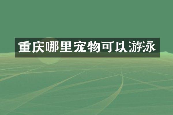 重庆哪里宠物可以游泳