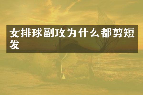女排球副攻为什么都剪短发