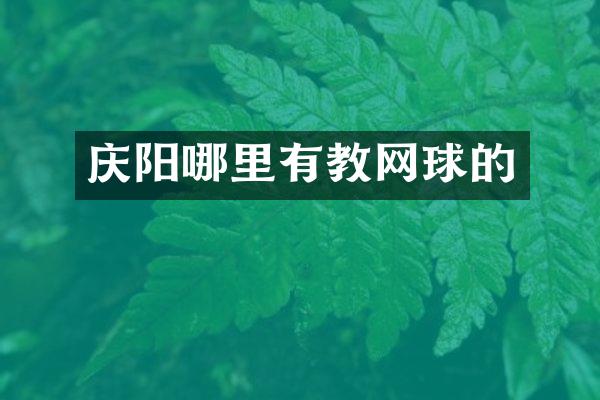 庆阳哪里有教网球的